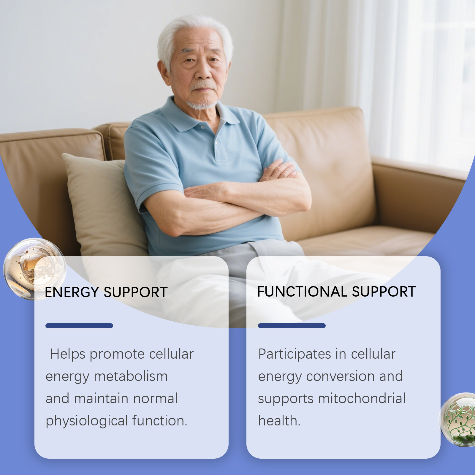 Vitalitätssteigernde Tropfen z – Nutrition Fitness Health Bewertung und Preis